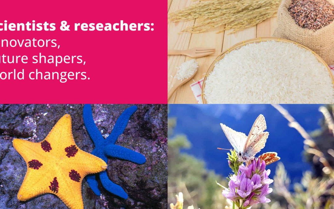 Inspiring researchers using story structures to add clarity to their communication